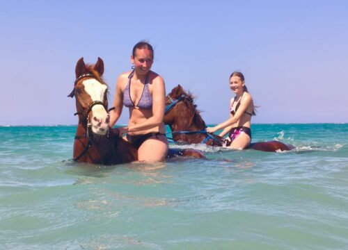 Swimming with Horses in Marsa Alam