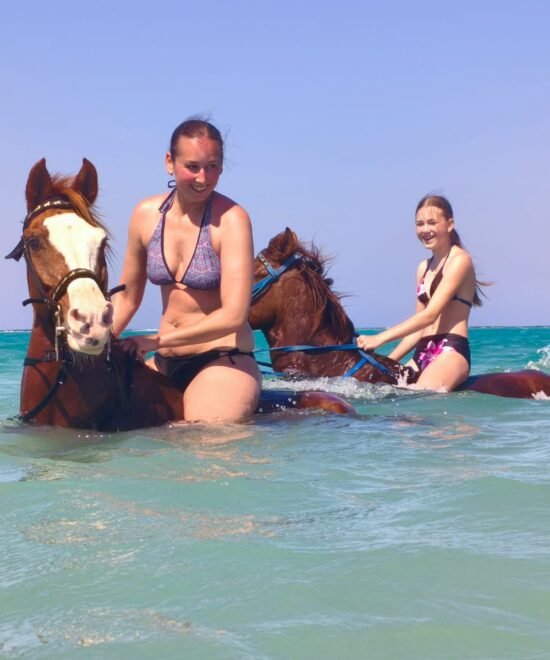 Swimming with Horses in Marsa Alam
